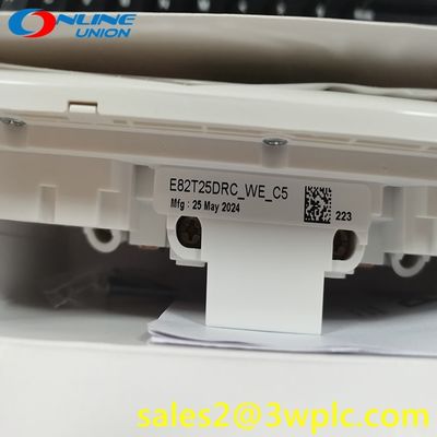 E82T25DRC Schneider Double Pole Switched Socket with Protection Door and Anti-Leakage Feature
