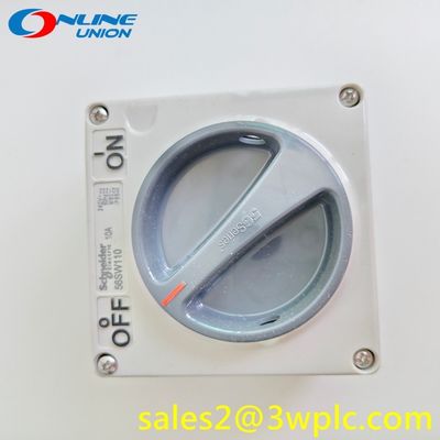 S56SW110GY Schneider 10A 250V IP66 Rated Industrial Switch for Harsh Environments